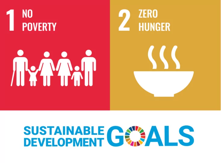 Media and SDGs 1 and 2