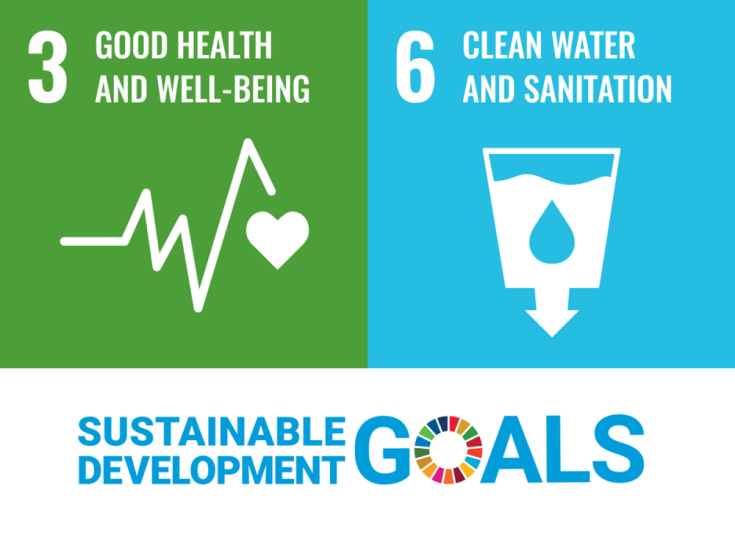 Media and SDGs 3 and 6