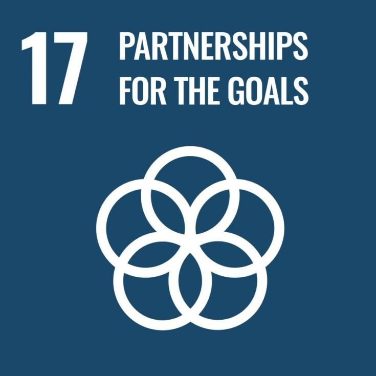 Media and SDG 17