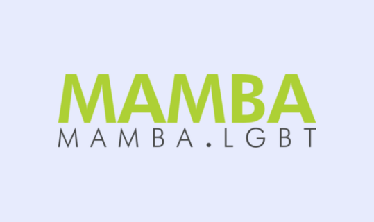 MambaOnline: Building a Sustainable Future for LGBTQ+ Media
